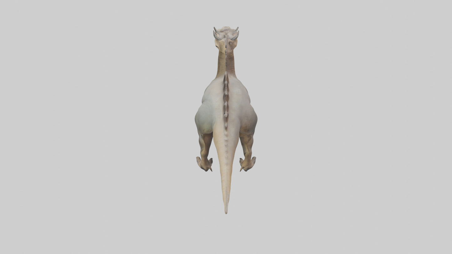 3D model Maiasaura model VR / AR / low-poly