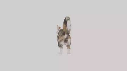 3D model Maine Coon climbing model VR / AR / low-poly