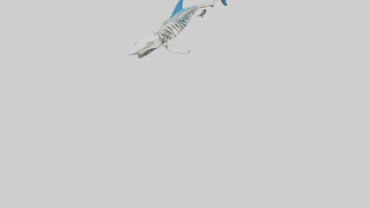 Mako Shark Skeleton model VR / AR / low-poly