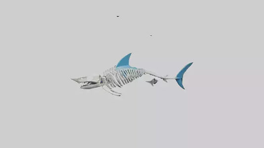 Mako Shark Skeleton model VR / AR / low-poly