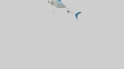 Mako Shark Skeleton model VR / AR / low-poly