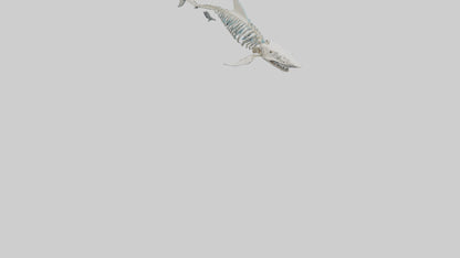 Mako Shark Skeleton model VR / AR / low-poly