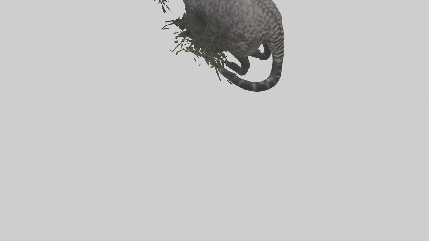 3D model Malayan Civet sneaking model VR / AR / low-poly
