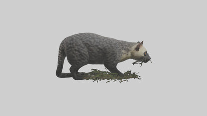 3D model Malayan Civet sneaking model VR / AR / low-poly