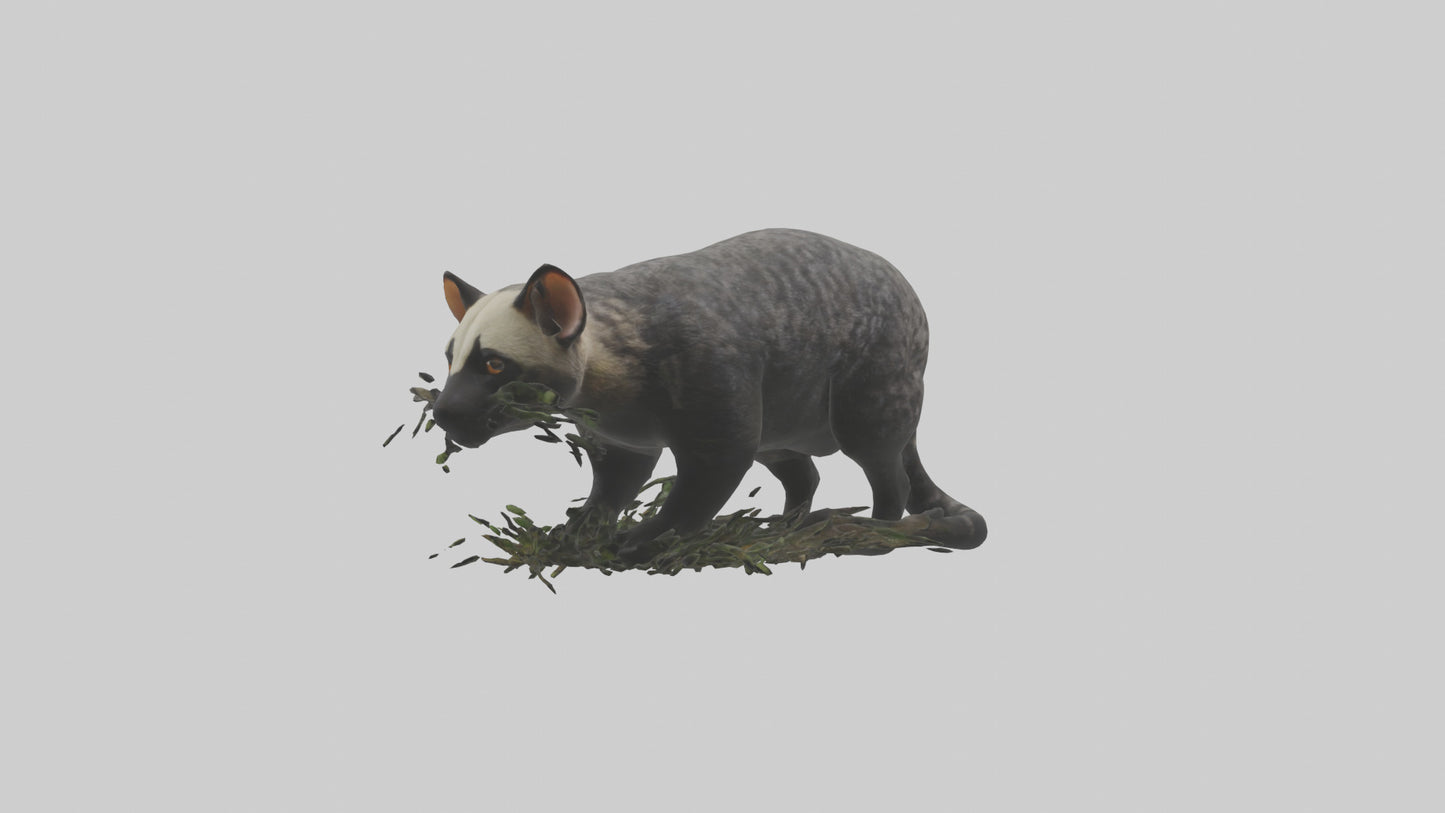 3D model Malayan Civet sneaking model VR / AR / low-poly