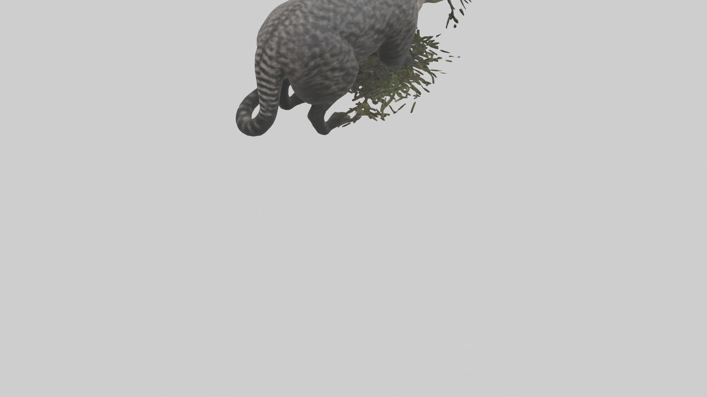 3D model Malayan Civet sneaking model VR / AR / low-poly