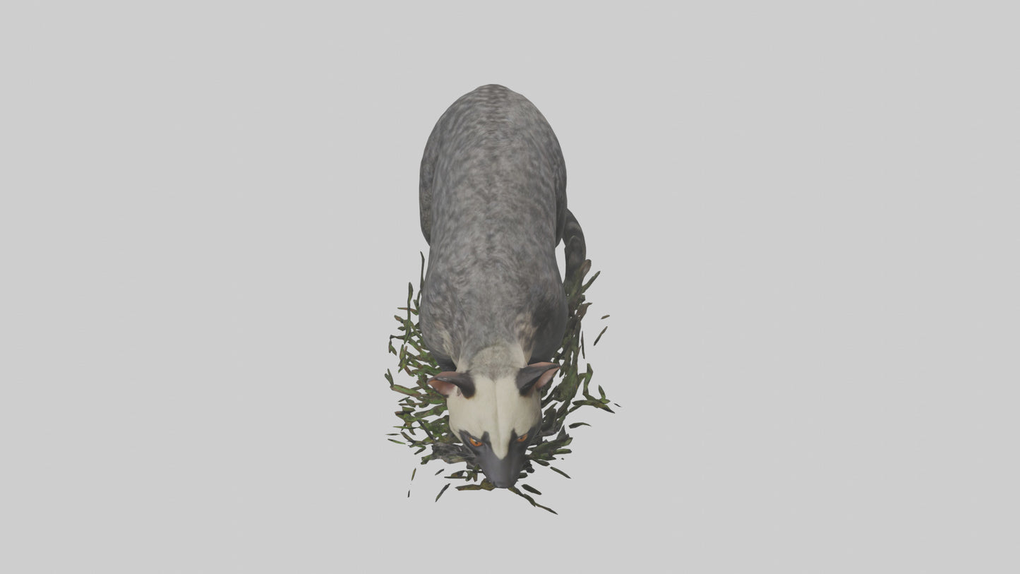 3D model Malayan Civet sneaking model VR / AR / low-poly