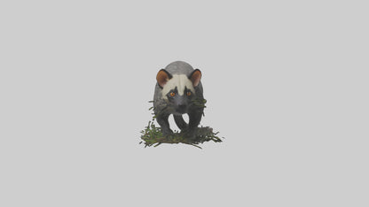 3D model Malayan Civet sneaking model VR / AR / low-poly
