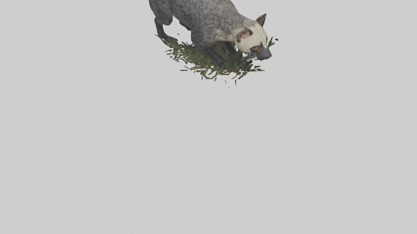 3D model Malayan Civet sneaking model VR / AR / low-poly