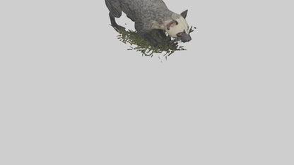 3D model Malayan Civet sneaking model VR / AR / low-poly