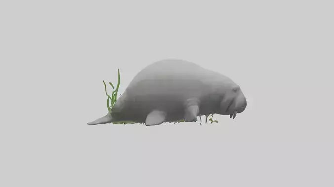 3D model Manatee grazing on seagrass model VR / AR / low-poly