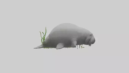 3D model Manatee grazing on seagrass model VR / AR / low-poly