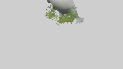 3D model Manatee grazing on seagrass model VR / AR / low-poly