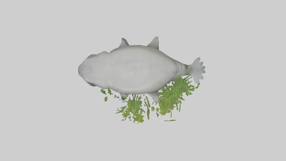 3D model Manatee grazing on seagrass model VR / AR / low-poly