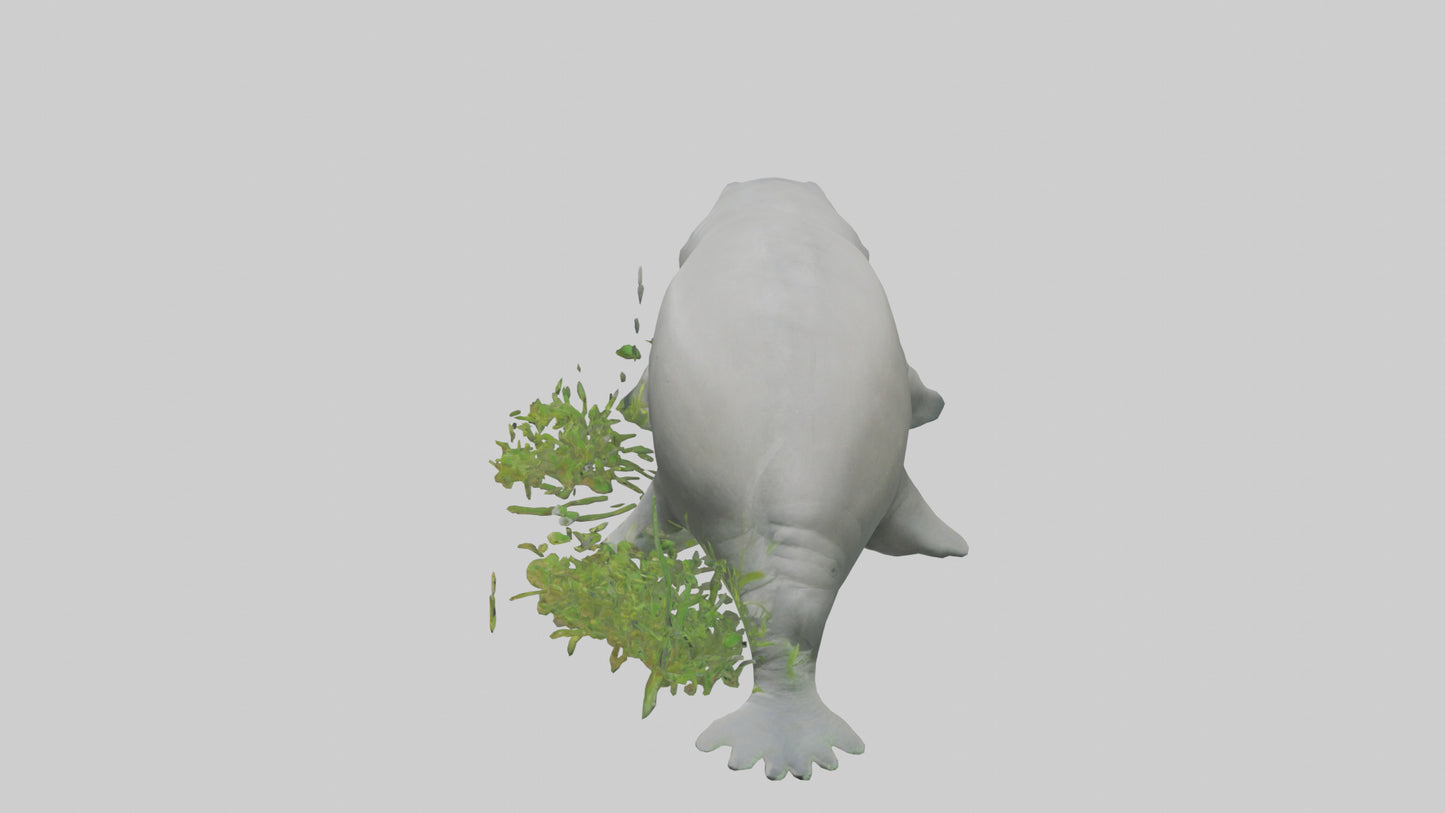 3D model Manatee grazing on seagrass model VR / AR / low-poly