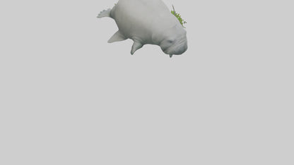 3D model Manatee grazing on seagrass model VR / AR / low-poly