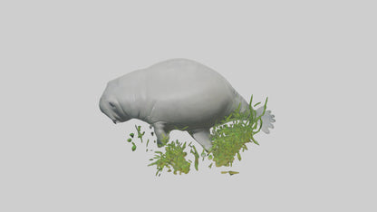 3D model Manatee grazing on seagrass model VR / AR / low-poly
