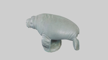 3D model Manatee statue model VR / AR / low-poly