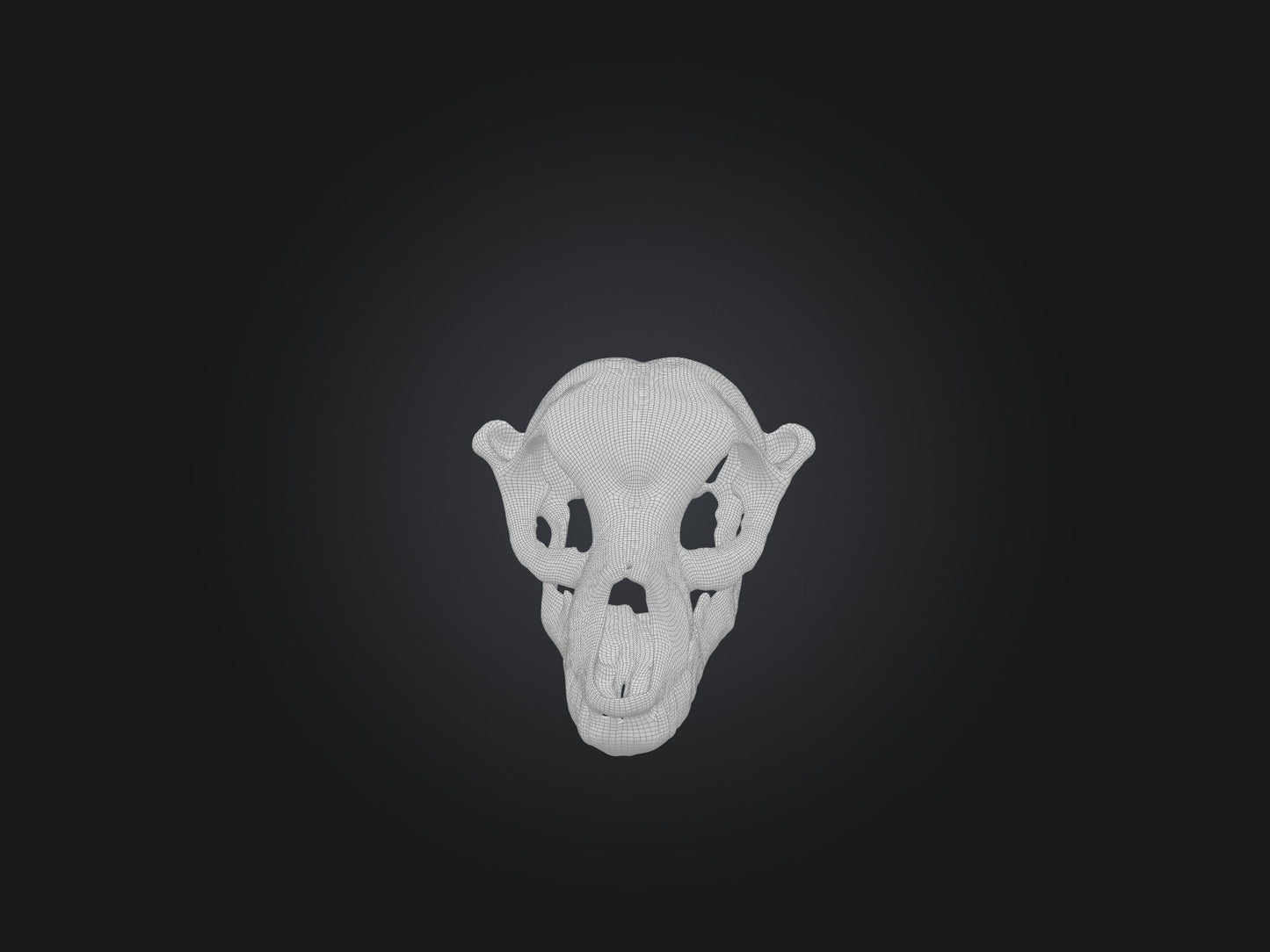 3D model Mandible Skeleton VR / AR / low-poly