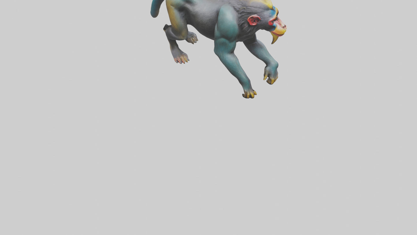 3D model Mandrill statue model VR / AR / low-poly