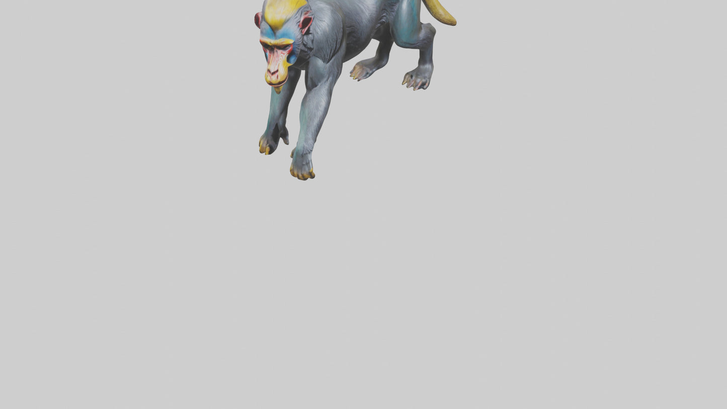 3D model Mandrill statue model VR / AR / low-poly