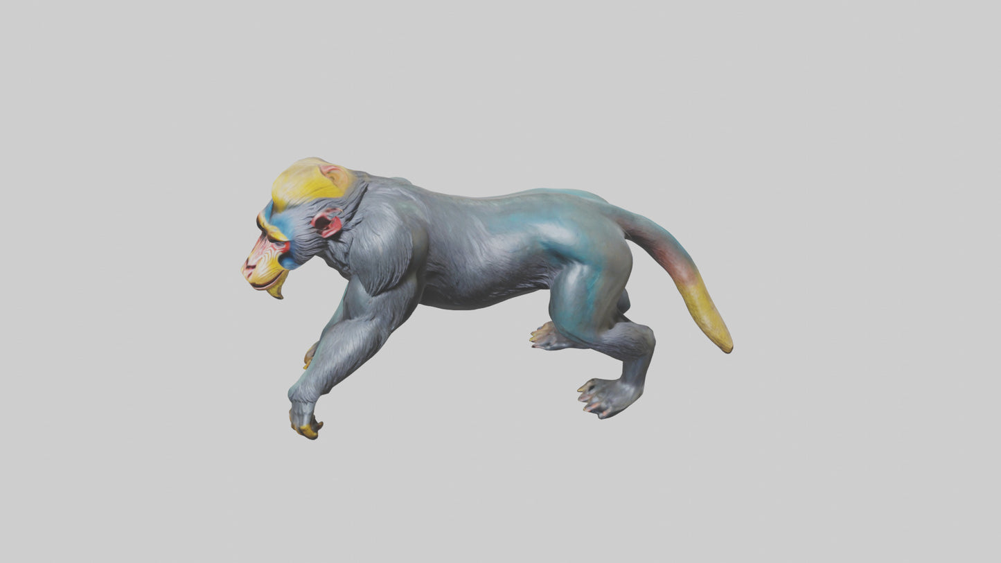 3D model Mandrill statue model VR / AR / low-poly