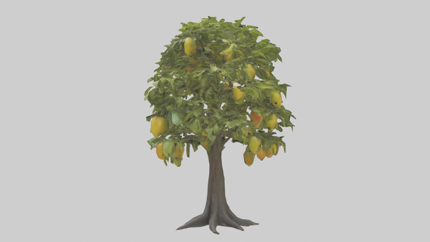 3D model Mango tree model VR / AR / low-poly