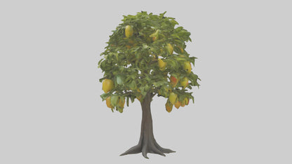 3D model Mango tree model VR / AR / low-poly