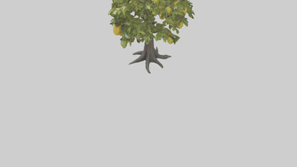 3D model Mango tree model VR / AR / low-poly
