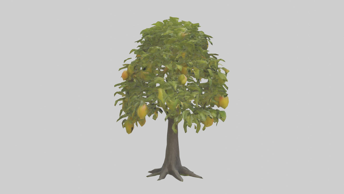 3D model Mango tree model VR / AR / low-poly