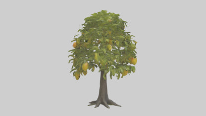 3D model Mango tree model VR / AR / low-poly