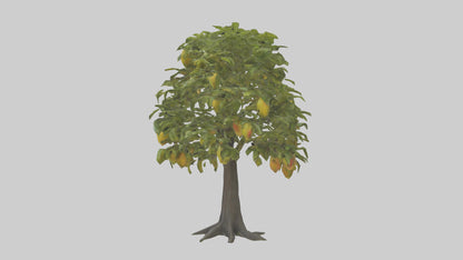3D model Mango tree model VR / AR / low-poly