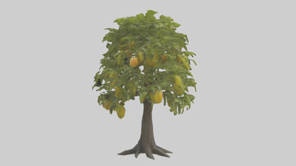 3D model Mango tree model VR / AR / low-poly