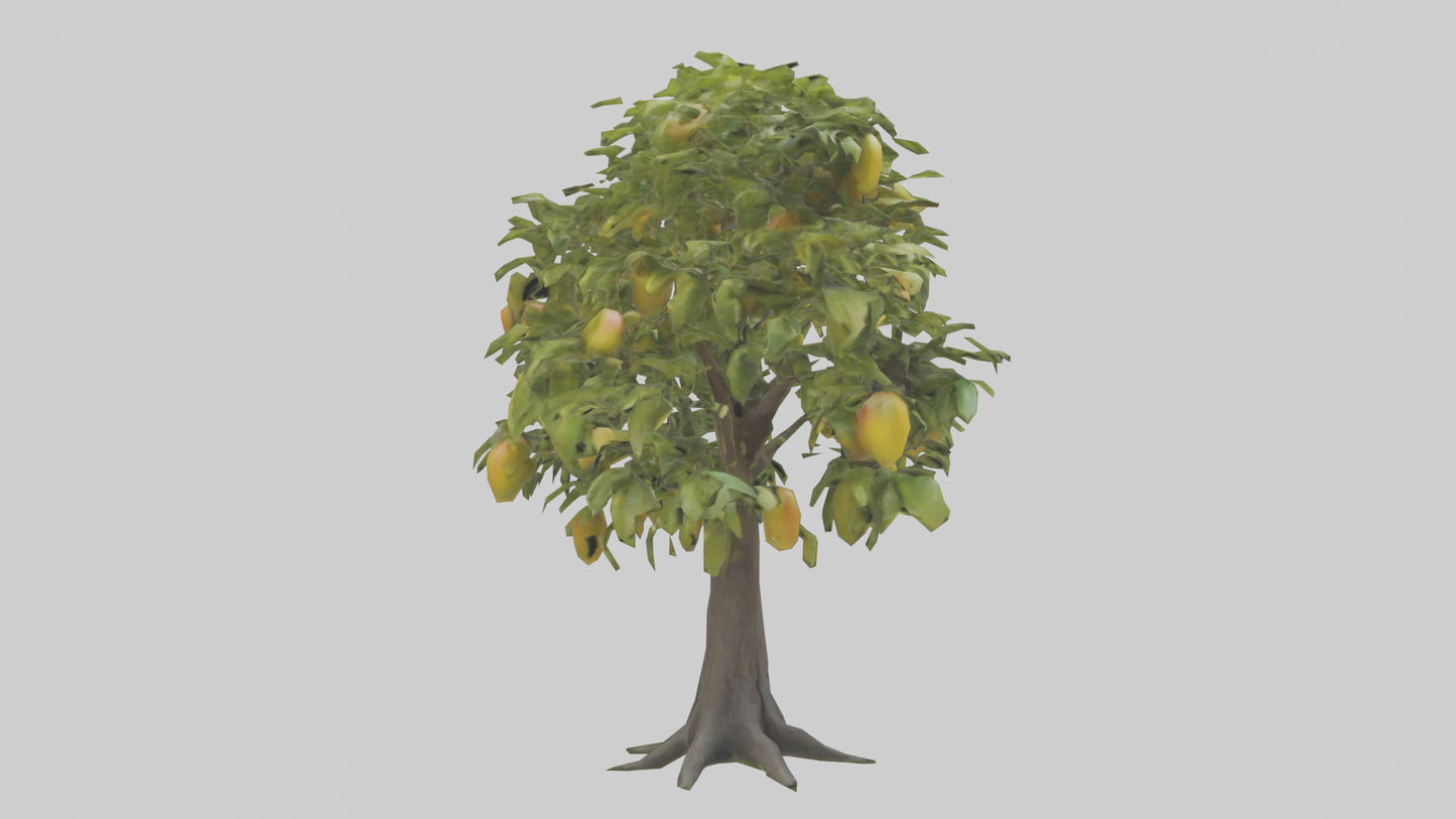 3D model Mango tree model VR / AR / low-poly