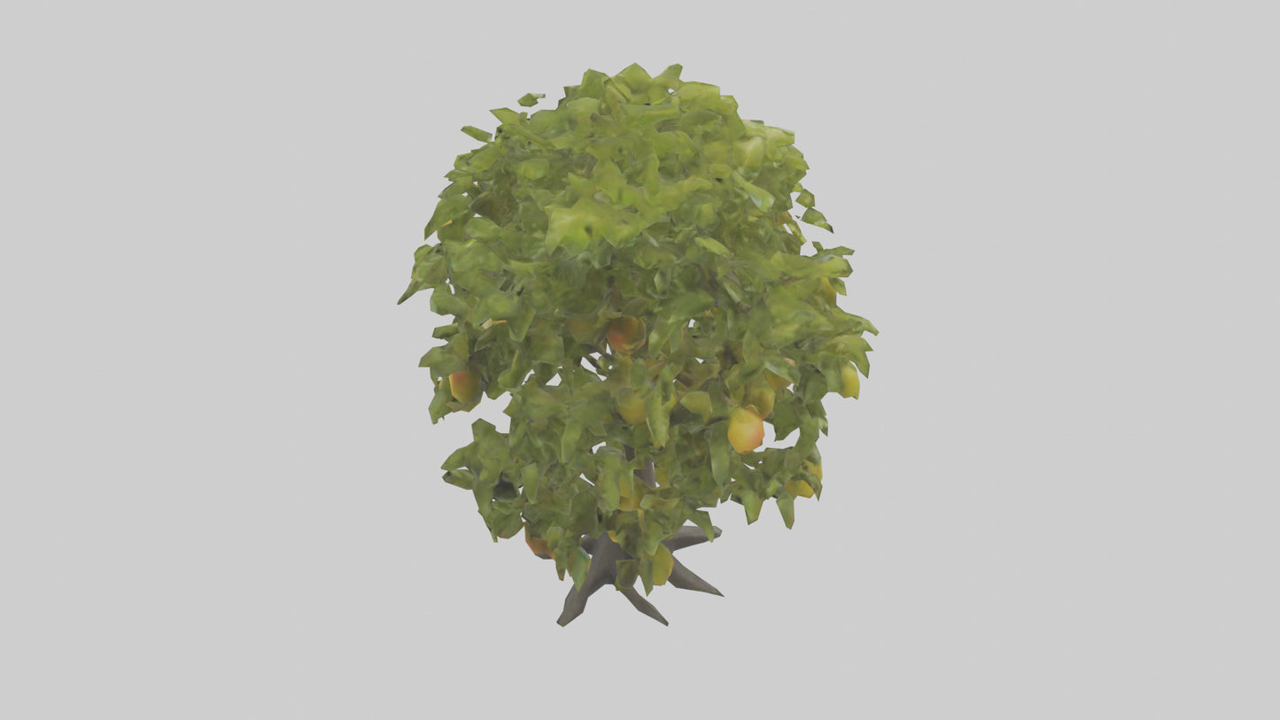 3D model Mango tree model VR / AR / low-poly