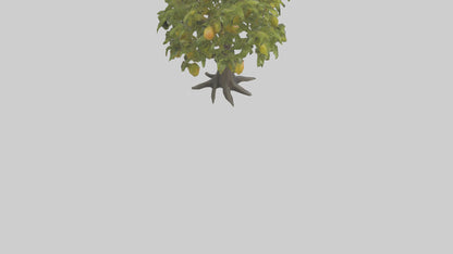 3D model Mango tree model VR / AR / low-poly