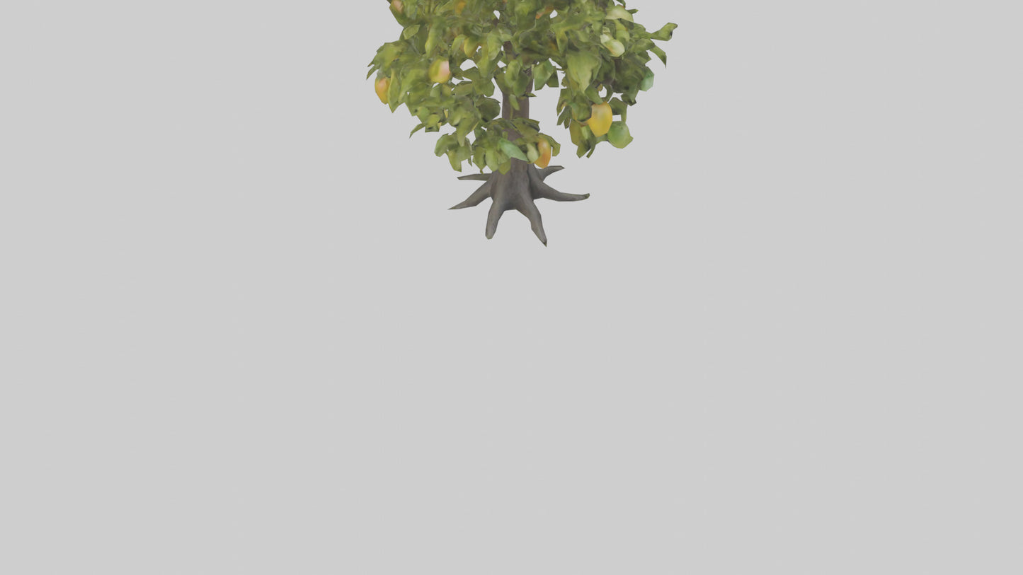 3D model Mango tree model VR / AR / low-poly