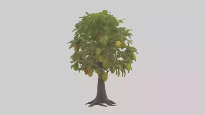 3D model Mango tree model VR / AR / low-poly