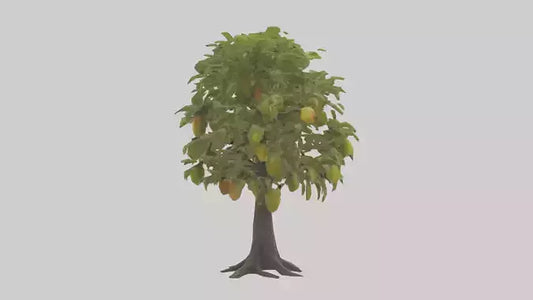3D model Mango tree model VR / AR / low-poly