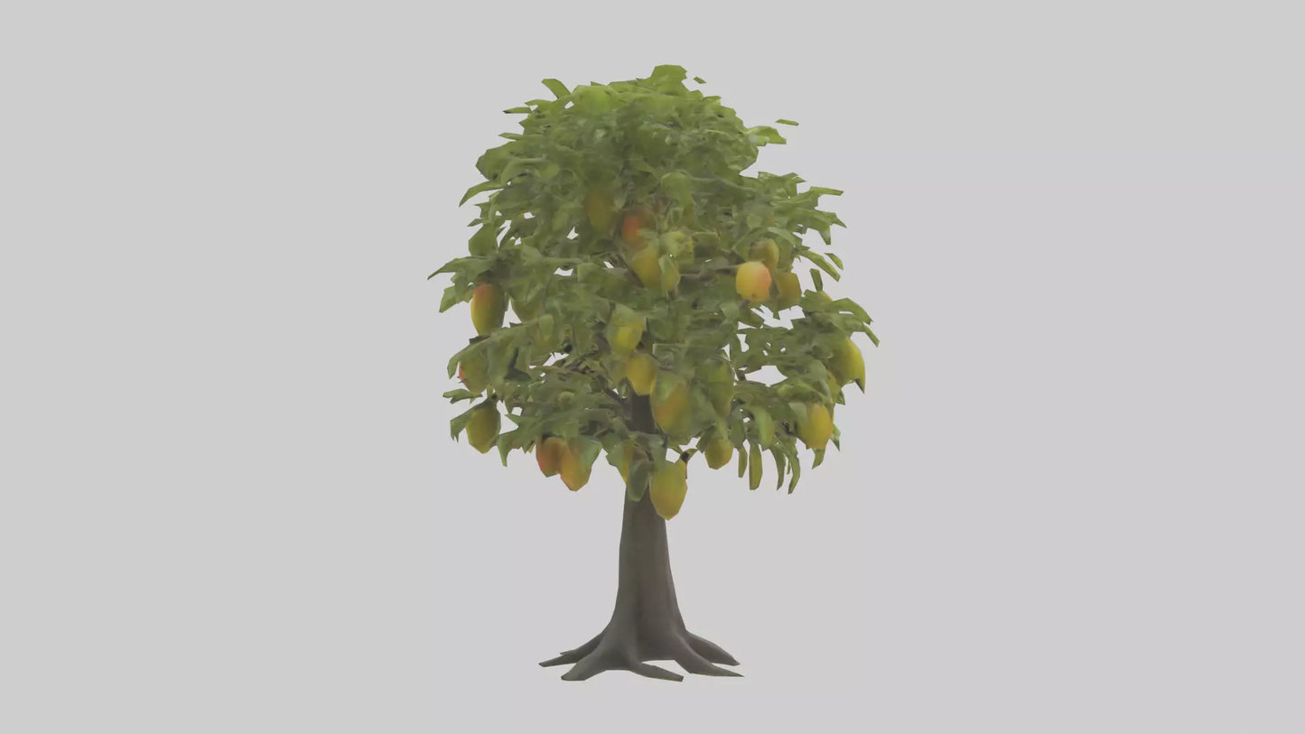 3D model Mango tree model VR / AR / low-poly