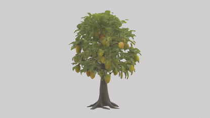 3D model Mango tree model VR / AR / low-poly