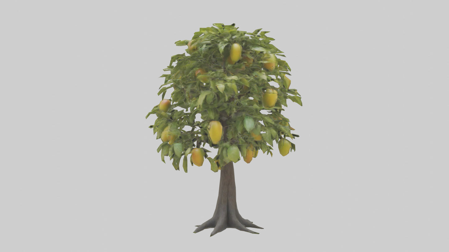 3D model Mango tree model VR / AR / low-poly