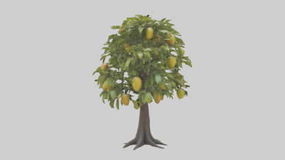 3D model Mango tree model VR / AR / low-poly