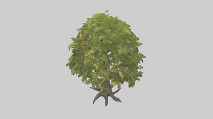 3D model Mango tree model VR / AR / low-poly