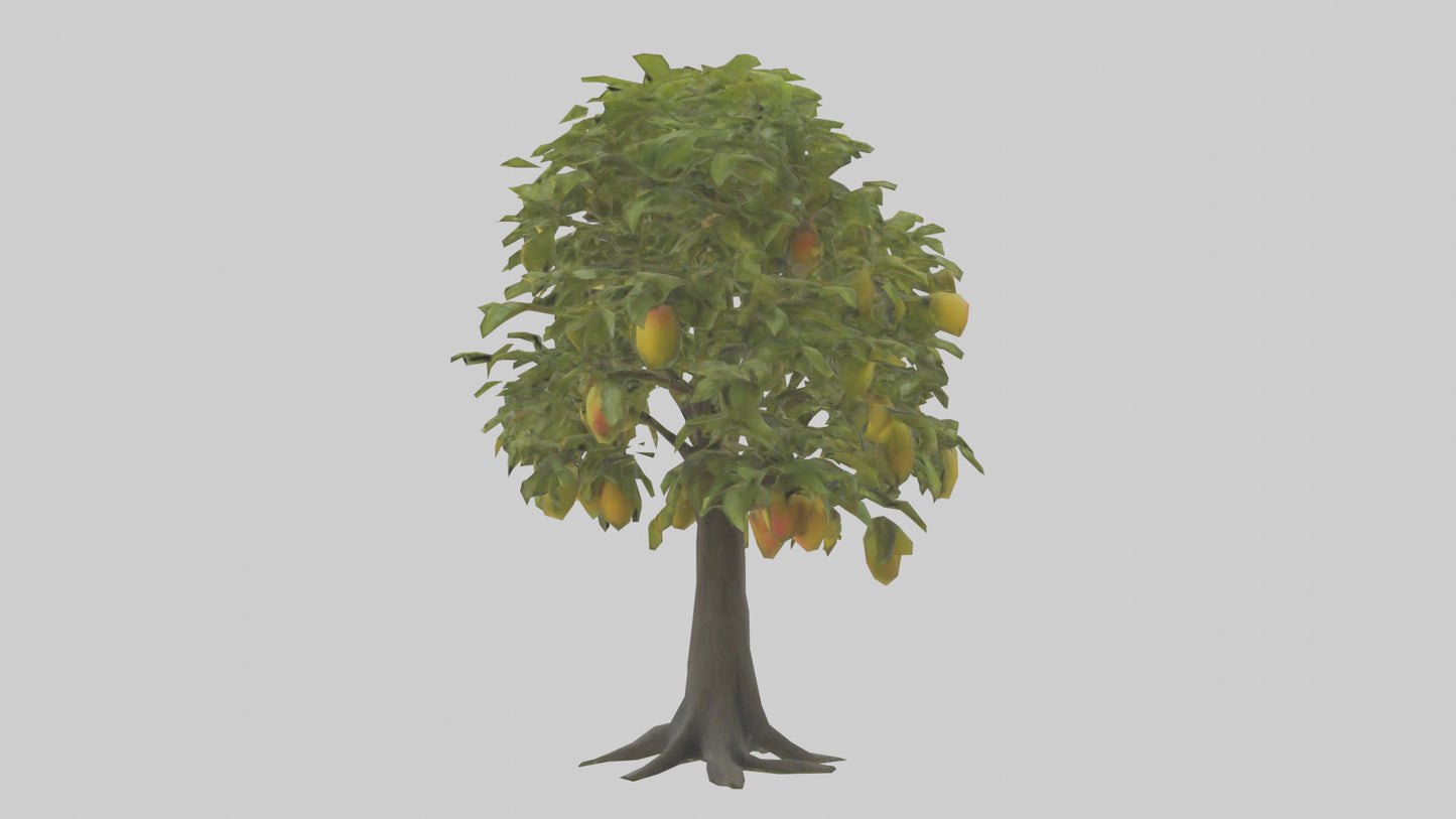 3D model Mango tree model VR / AR / low-poly