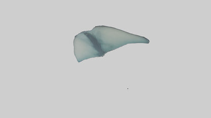 Manta Ray gliding underwater model VR / AR / low-poly