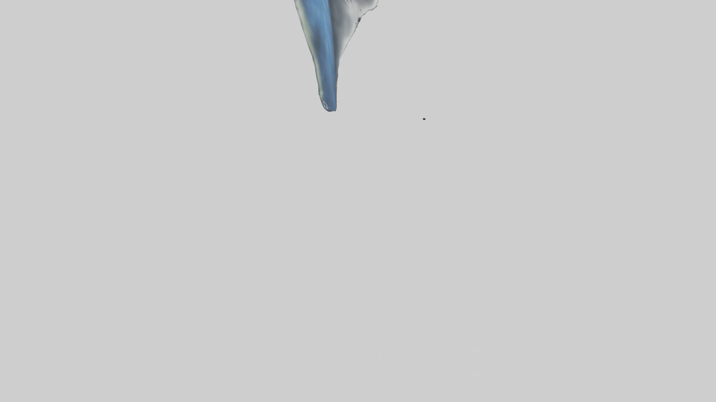 Manta Ray gliding underwater model VR / AR / low-poly