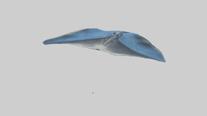 Manta Ray gliding underwater model VR / AR / low-poly