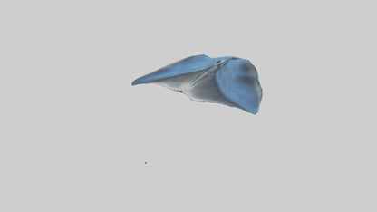 Manta Ray gliding underwater model VR / AR / low-poly