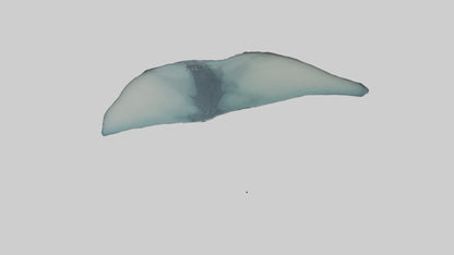 Manta Ray gliding underwater model VR / AR / low-poly